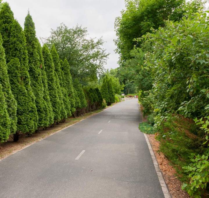 Nous proposons des solutions VRD sur mesure pour votre terrain.